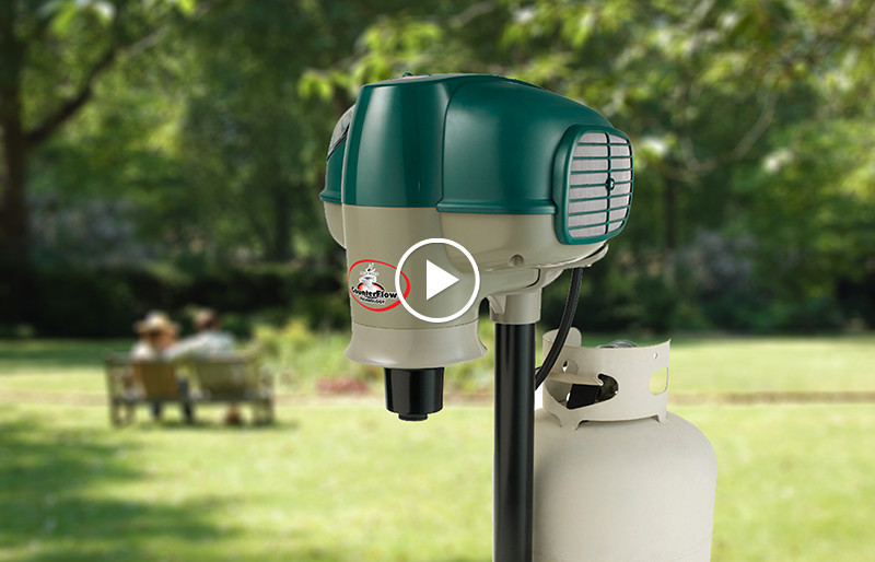 mosquito magnet i hagen videolink